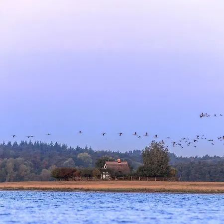 Merlin Nest - Komfortable Mit Terrasse, Garten & Infrarotkabine